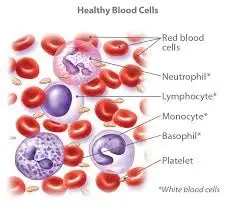 Blood Cancer Symptoms