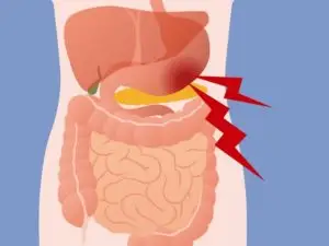 abdominal digestive